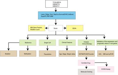 Integration of transcriptomics and machine learning for insights into breast cancer: exploring lipid metabolism and immune interactions